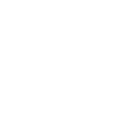Coca-Cola Original